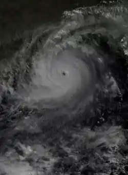 Image of a cyclone whose center is slightly above center. The storm's clouds appear white with a bluish tinge. An eye is visible in gray shades at the storm's center. While the thicker clouds are opaque and clustered around the cyclone's center, sprawling, transparent clouds span the length of the image.