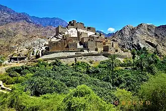 The village of Dhi 'Ain in Al-Bahah region