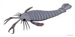 Image of how Jaekelopterus would have appeared in life