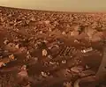 Viking 2 lander Camera 2 22G144 (Low Resolution Color) Sol 552 19:16