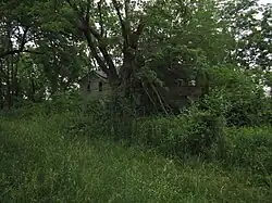 Derelict farmhouse surrounded by overgrown vegetation