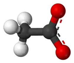 Ball-and-stick model of the acetate anion