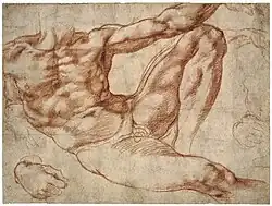 Michelangelo – Studies of a reclining male nude: Adam in the fresco The Creation of Man on the vault of the Sistine Chapel, c. 1511