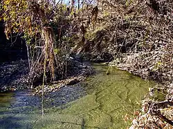 A slow-moving and shallow headwaters of a stream