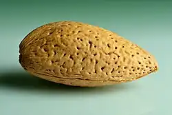 Almond shell