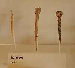A color picture of three long bone tools