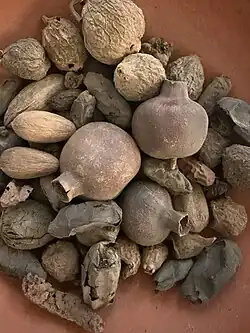 Ancient pomegranates with dates, Egyptian tomb offering, 2000-1500 BCE. At the Louvre.