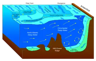 Antarctic bottom water