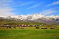 A view of Mount Aragats from Aragatsotn – Armenia