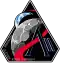 Artemis II insignia