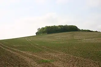 A hilltop
