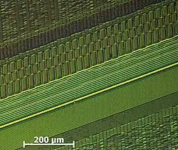 Recording of single magnetisations of bits on a 200&nbsp;MB HDD-platter (recording made visible using CMOS-MagView)[64]
