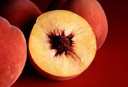The peach is a typical drupe (stone fruit).