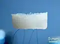 An aerogel held up by hair.[118] (Scientific Reports)