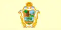Flag of Manaus