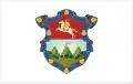 Flag of Guatemala City