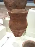 Beaker[218]