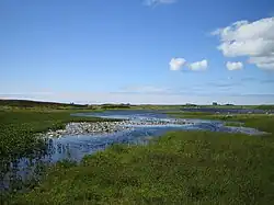 A marshy landscape of reeds, grass, water lilies and open water under blue skies with some white, fluffy clouds at left. A stone house sits on the horizon in the distance.