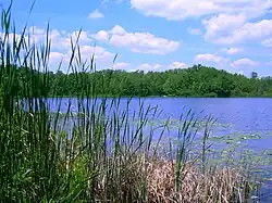 Benton Lake and surrounding forests.