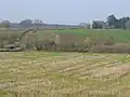 A few buildings scattered amongst fields and trees.