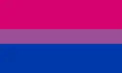 Bisexual flag of three solid horizontal bars two fifths pink, one fifth purple, and two fifths blue.