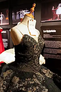 Black Swan Costume