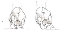 Nutation at left, counternutation at right