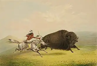 A bison hunt depicted by George Catlin