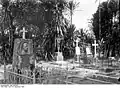 A German cemetery in Kamerun