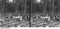 Oil in Kamerun, one of the many resources that the German Empire needed
