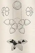 B.J.S. Cahill Butterfly Map, 1909, from 1919 pamphlet