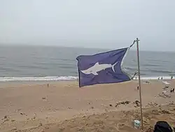 A blue flag with a white picture of a shark, flying at a beach