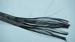 Carbon fiber bundle