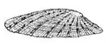 cap shape