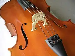 Looking down on the top of a small wooden boat-like shape. Four metal strings run along the middle of the shape down its long axis. The strings pass over a small raised wooden bridge positioned in the centre of the shape so that the strings sit above the deck of the cello.