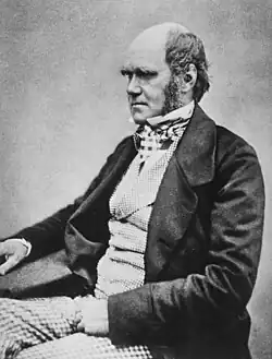 Three-quarter length studio photo showing Darwin's characteristic large forehead and bushy eyebrows with deep-set eyes, pug nose, and mouth set in a determined look. He is bald on top, with dark hair and long side whiskers, but no beard or moustache. His jacket is dark, with very wide lapels, and his trousers are a light check pattern. His shirt features an upright wing collar, and his cravat is tucked into his waistcoat, which has a light, fine checked pattern.