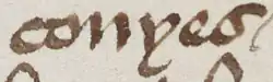 The handwritten word "conyes"
