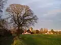 Large tree on the left of a field in the foreground with buildings in the distance.