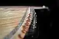 Chromatic and diatonic strings stretched over pegs on two levels, similar to black and white keys on a piano.