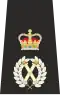 Isle of Man Police Chief Constable Epaulette