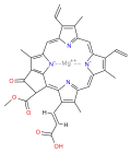 chlorophyll c2