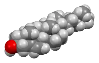 Space-filling model of cholesterol