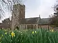 Stone building with prominent square tower. In the foreground are daffodils.