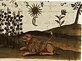 Image of the Zoroaster Clavis Artis manuscript, MS. Verginelli-Rota, Library of the Accademia Nazionale dei Lincei, Rome, vol. 2, p. 204, c.1738