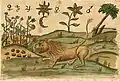 Image of the manuscript Zoroaster Clavis Artis, Ms-2-27, Biblioteca Civica Hortis, Trieste, vol. 2, pag. 175, c.1738
