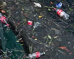 Coca-Cola bottles as pollution in water