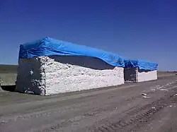 Cotton modules in Australia (2007)