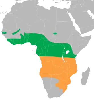 Map of Africa showing highlighted range. Year-round range covers most of equatorial Africa. Summer range covers southern much of southern Africa.