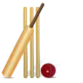 Cricket pictogram