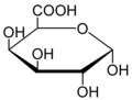 Main chain monomer: Galacturonic acid (GalA; a sugar acid)
